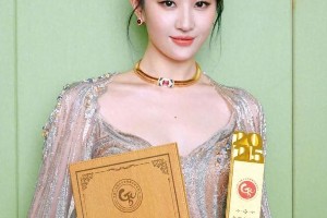 2025电视剧导演之夜：刘亦菲李现获年度主角奖