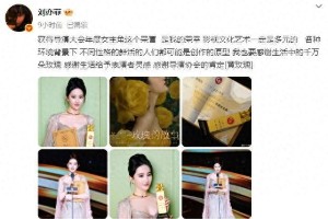 刘亦菲《玫瑰的故事》斩获2025导演大会年度女主角奖