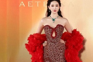 贾玲身材争议：审美焦虑背后的女性价值思考