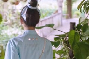 《亲爱的隐居先生》：田园甜宠剧黑马，陈靖可汤敏演技获赞