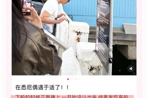 网友澳大利亚偶遇于适，近距离接触引粉丝羡慕