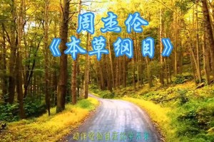 周杰伦《本草纲目》歌词解析与舞蹈动作